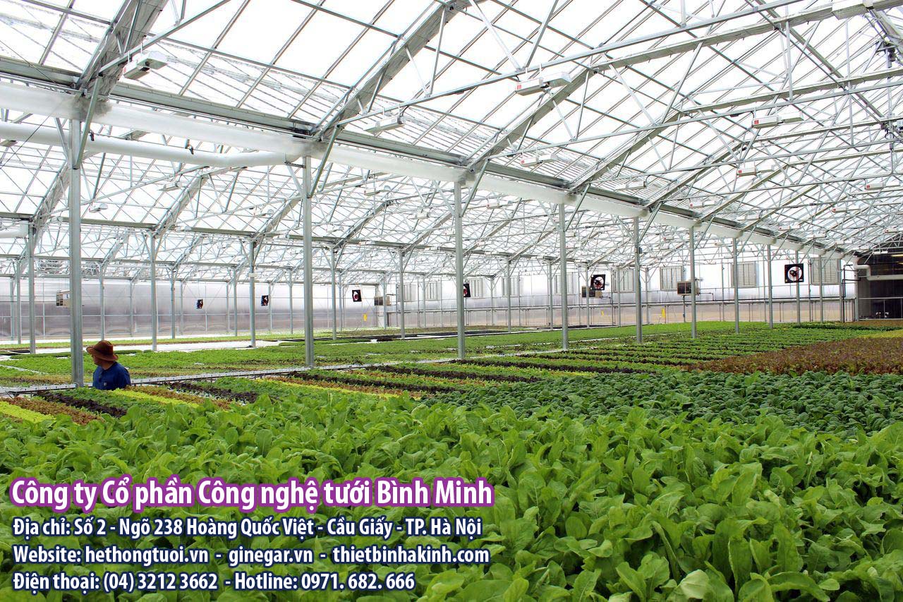 THáº¾ NÃO LÃ NHÃ LÆ¯á»I, NHÃ KÃNH, NHÃ MÃNG LÃ GÃ? Lá»°A CHá» MÃ HÃNH TRá»NG TRá»T NÃO CHO Há»¢P LÃ?